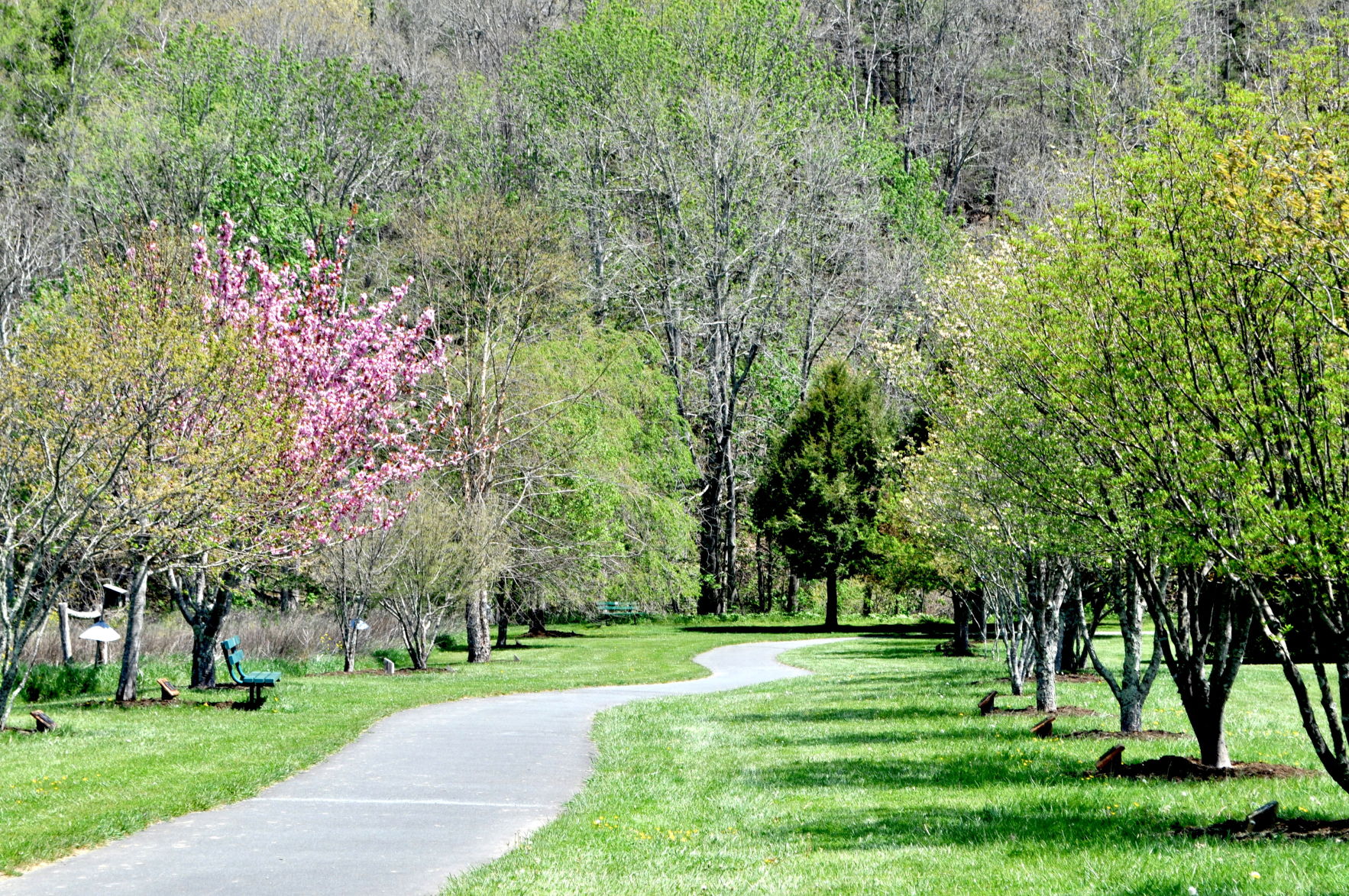 ValleCrucisPark.jpg